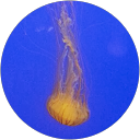 attractions-reviews-avatar