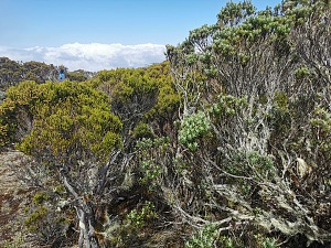 埃克里特山 3