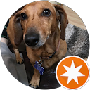 attractions-reviews-avatar