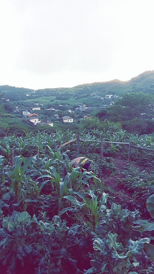 山上圣母 3