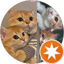 attractions-reviews-avatar