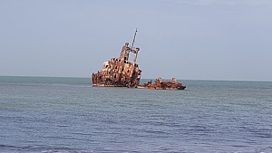帕尔马林 5