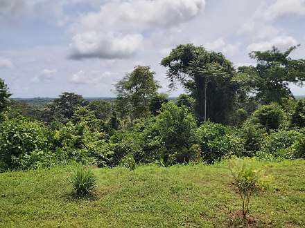 Assagny National Park