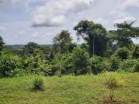 Assagny National Park