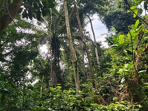 阿扎尼国家公园 5