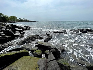 香蕉岛 2