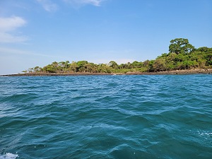 香蕉岛 3