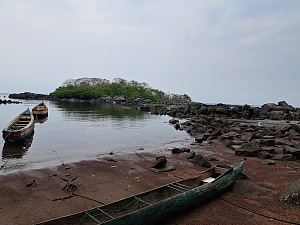 香蕉岛 5