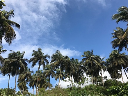罗伯茨港