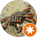 attractions-reviews-avatar