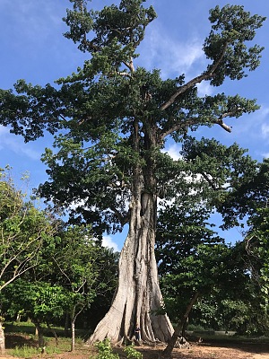罗伯茨港 3