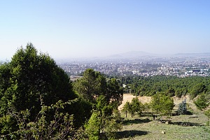古勒勒植物园 3