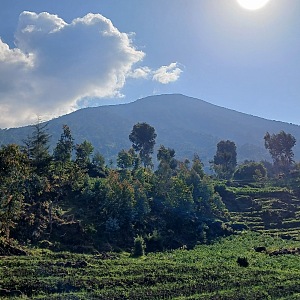 Mount Bisoke 4