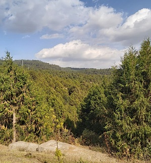 古勒勒植物园 5