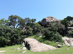 尼耶罗岩画 2