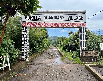 Gorilla Guardians