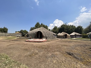 Gorilla Guardians 3