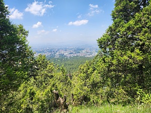 古勒勒植物园 4