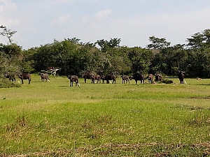 伊赫马湖 5