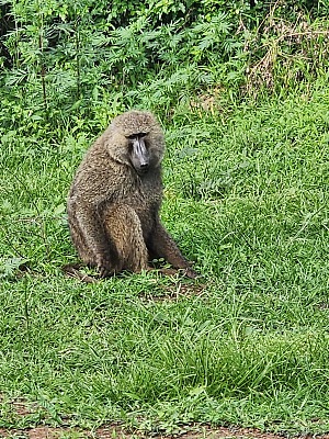 伊赫马湖 4