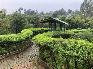 佐玛博物馆 3