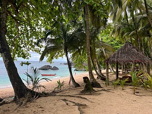 香蕉海滩 3