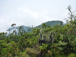 圣多美峰 2