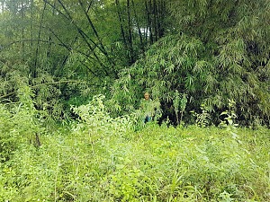 蒙特阿伦国家公园 2