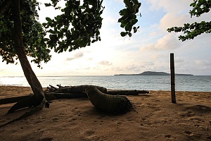 伊尼姆海滩 4