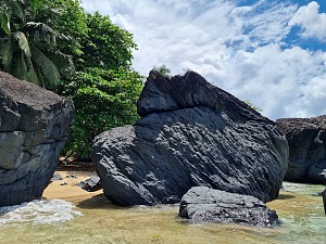 香蕉海滩 5