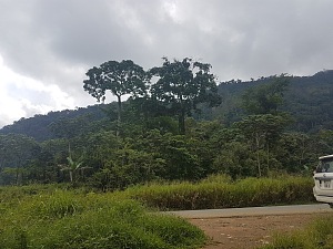 蒙特阿伦国家公园 5
