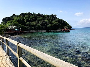 普林西比 3