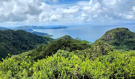 女王台