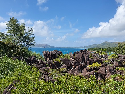 库瑞尔岛