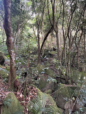 科波利亚小径 4