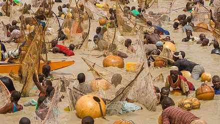 Argungu Festival