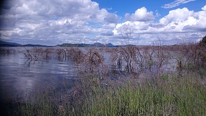 穆蒂里奎湖 5