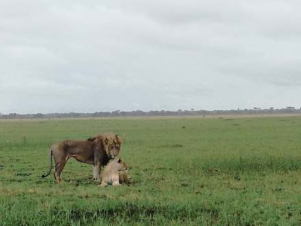 Savuti Marsh