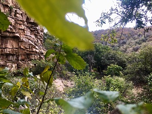 茨瓦蓬山 2