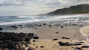 吹海口 4
