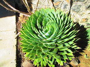 利佛丰历史遗址 5