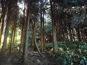 梅克斯之窗 4