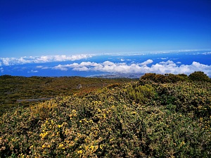 马伊多峰 3