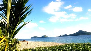 尼乌马舒阿 2