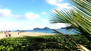 尼乌马舒阿 4