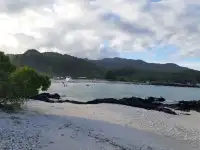 钦迪尼