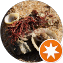 attractions-reviews-avatar