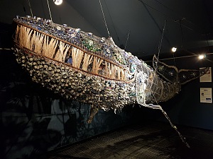 留尼汪岛水族馆 5