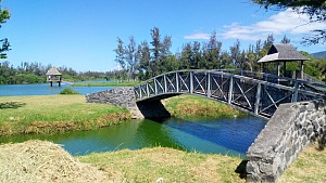 圣路易斯 5