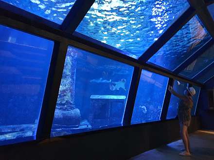 留尼汪岛水族馆